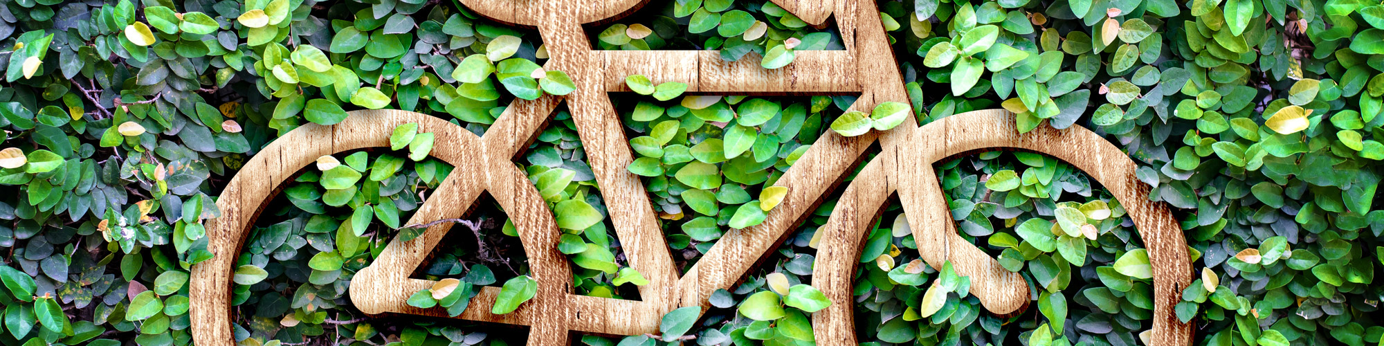 イメージ イメージ